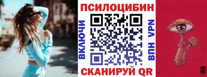 Галлюциногенные грибы Psilocybine cubensis  Купить где  Осинники 